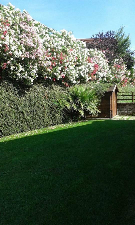 L'Infinito Bed & Breakfast Carbognano Exterior photo